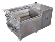 Stainless steel vegetable washing machine