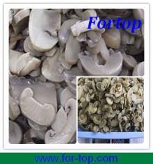 Fresh Canned Buttom Mushroom Slice in Brine