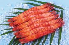 Cooked HOSO Black Tiger Shrimp