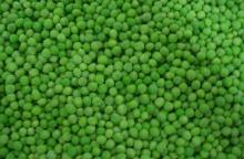 IQF green beans pea