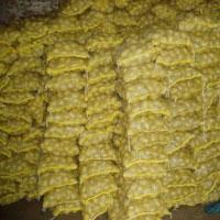HOLLAND FRESH POTATOES