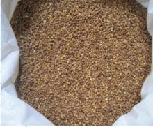 boiled buckwheat kernels with high quality and low price
