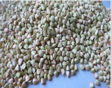 Superior quality buckwheat kernels from China with competitive price