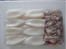Frozen  squid  tube & tentacle