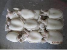 cleaned cuttlefish