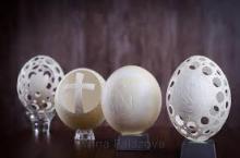  ostrich   egg  shell