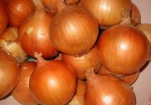 yellow onion