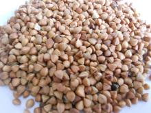  Roasted   Buckwheat  (Top Grade)