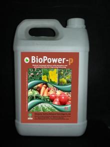BioPower-p biological soluble seaweed with phosphor,NPK compound , organic liquid fertilizer