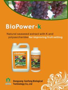 100% water-soluble fermented sargassum seaweed compound fertilizer with P K