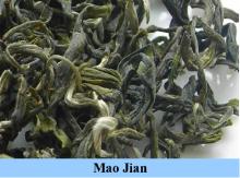 XIANGFENG MAOJIAN of Chinese famous tea