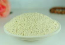 factory direct-sale  papain  wholesale