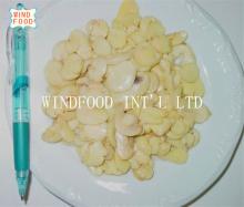 canned sliced mushroom