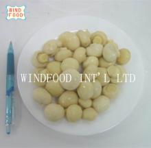 canned  whole  mushroom