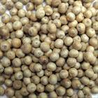 WHITE PEPPER