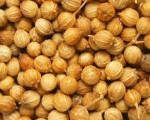 Whole  coriander   seed s (Coriandrum sativum L.)