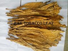 Lemon Color Leaves