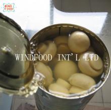 canned button mushroom