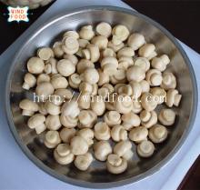  button  mushroom