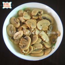 mushroom in plastc drums