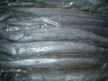  Frozen   ribbon   fish 