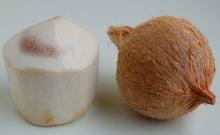 Fresh Mature Coconut