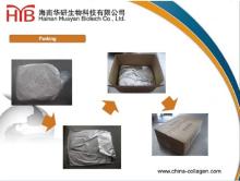 fish collagen peptide