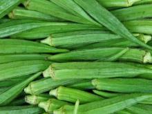 Fresh Okra for Sale