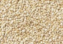 Organic White Quinoa