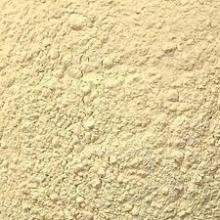 Dry Garlic Powder For Sale