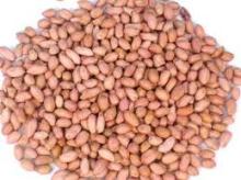 Peanut Kernels For Sale