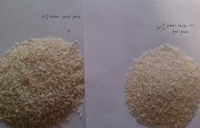  100 %  broken  white rice from Pakistan