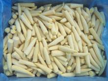 IQF BABY CORN