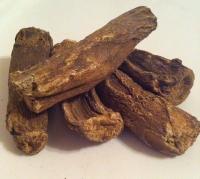 Chinese costus root