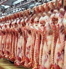 Pork meat from Romania