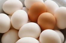  Fresh   Table   Eggs  Brown And White