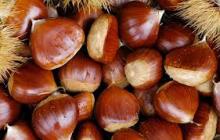 Chestnuts