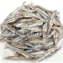  dried   anchovy   headless 