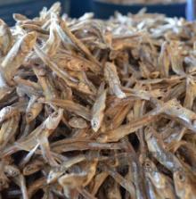 dried anchovy head on