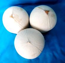 Fresh coconuts
