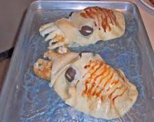 Cuttle Fish