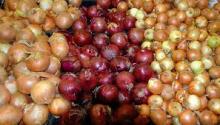 White, Red and Yellow Onions