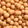 Soyabeans