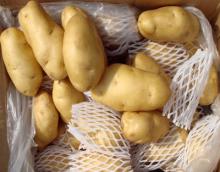 Potatoes