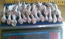 Whole Chicken | Chicken Feet | Chicken Paw | Ch...
