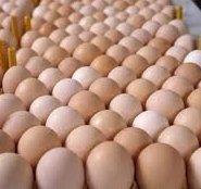 Fresh Brown And White Chicken Eggs