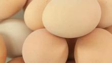FRESH CHICKEN EGGS Available for sale at unbeat...