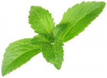 Stevia Extract