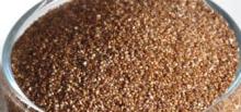 White And Brown Teff Grains