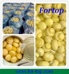 Fresh Whole Canned  Mushroom  in  Brine  with HOT SALES